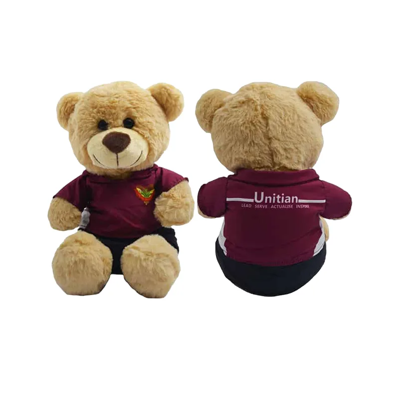 Customised Bear with Uniform