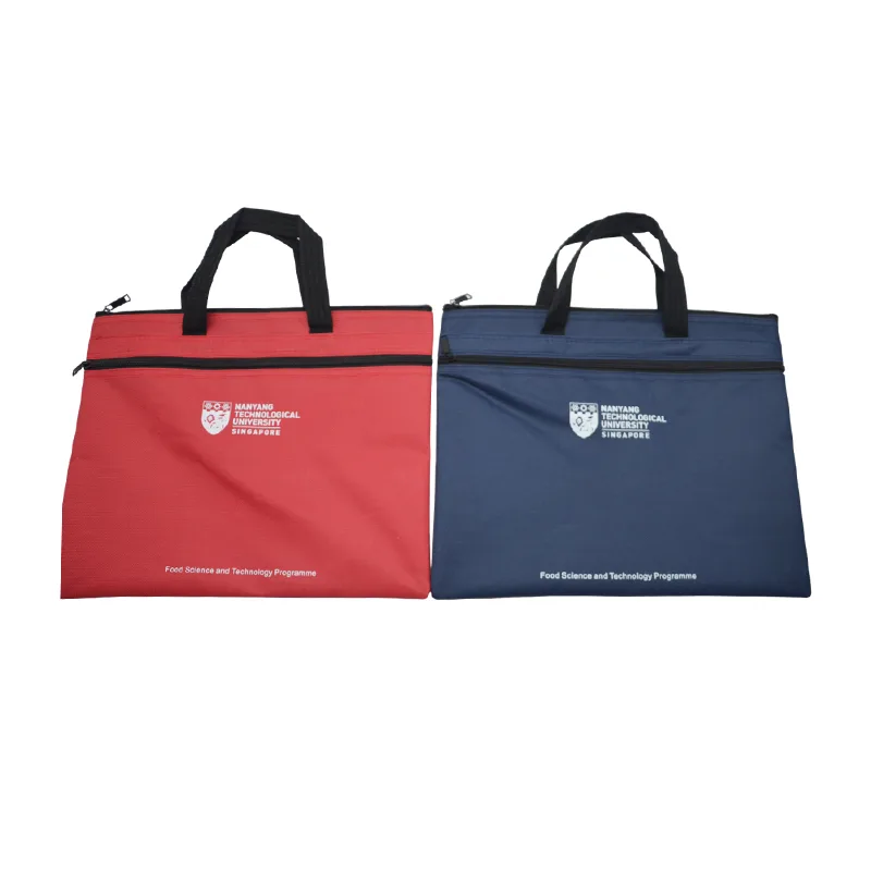 Document Bag