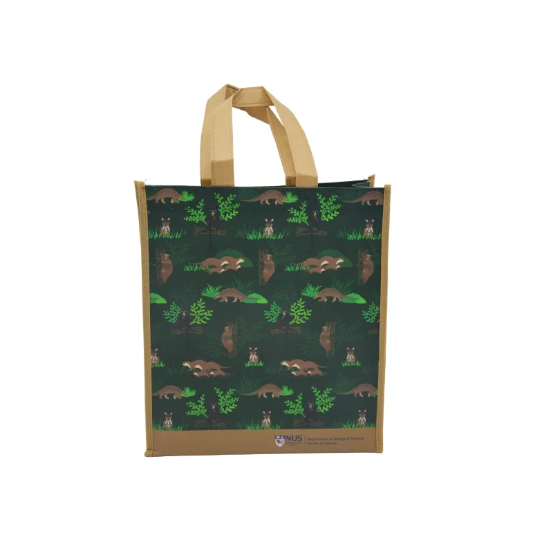 Laminated Non Woven Bag