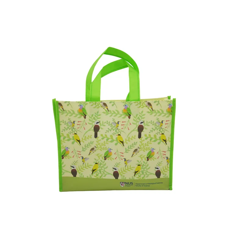 Laminated Non Woven Bag
