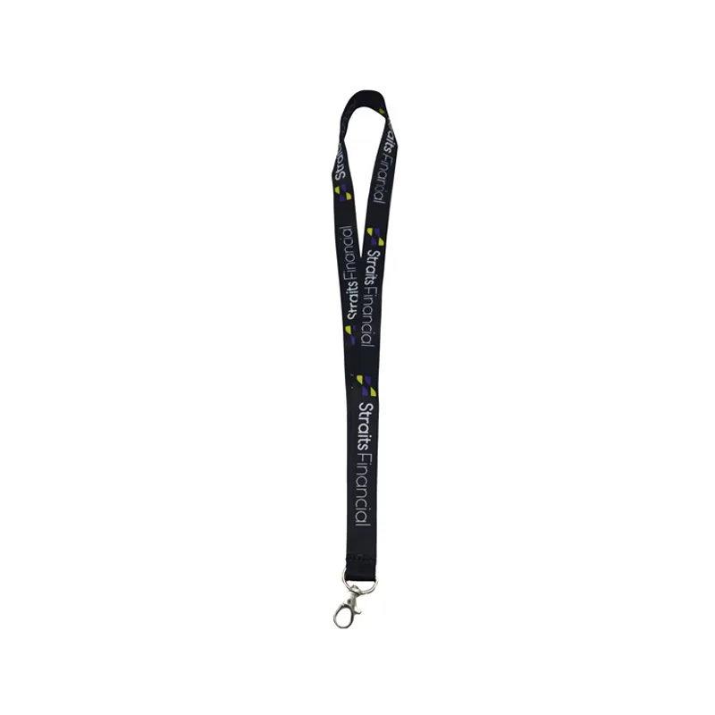 Lanyard